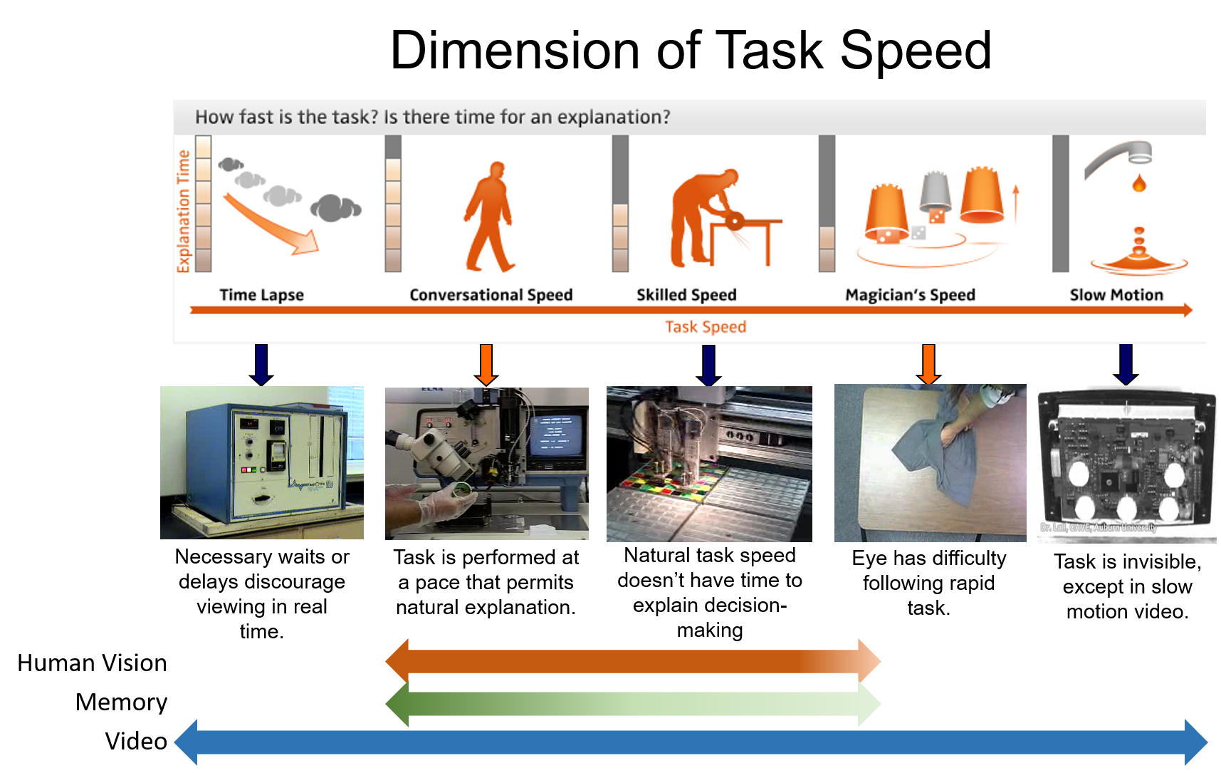 Dimensions of Perception